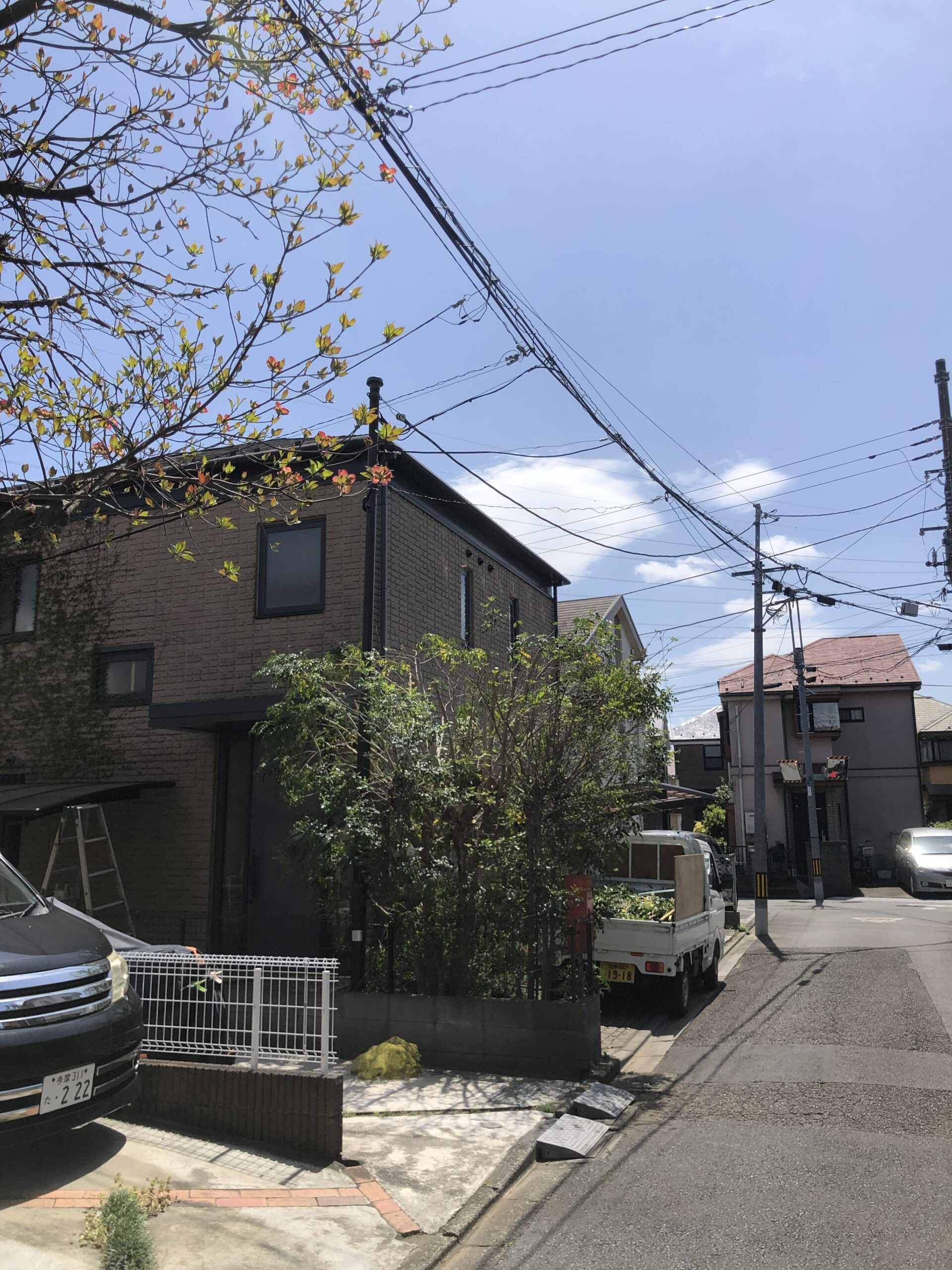 美杉台の庭木伐採後の様子 建物まわりがすっきりした状態