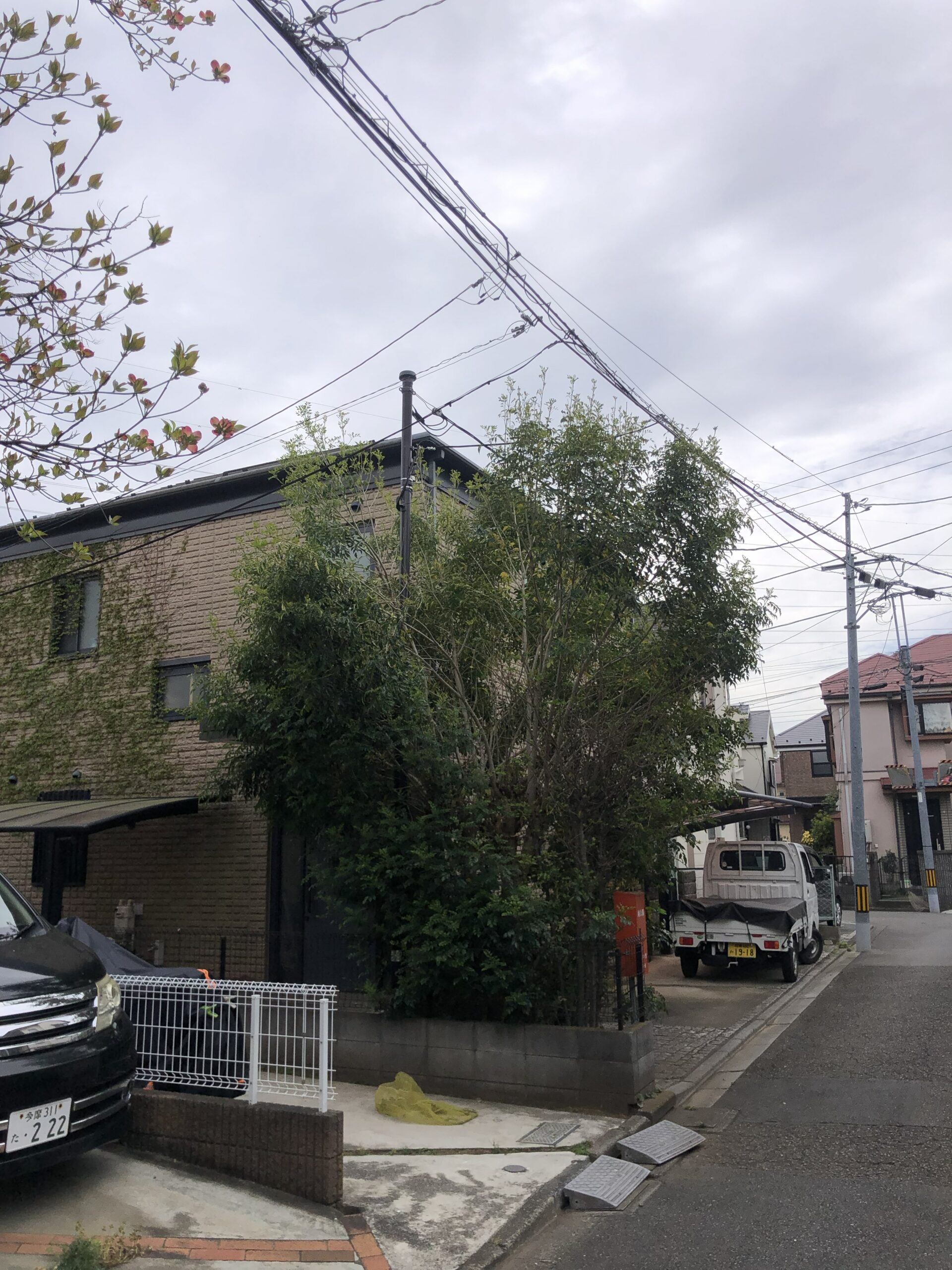 美杉台の庭木伐採前の様子 建物まわりで枝葉が広がった庭木