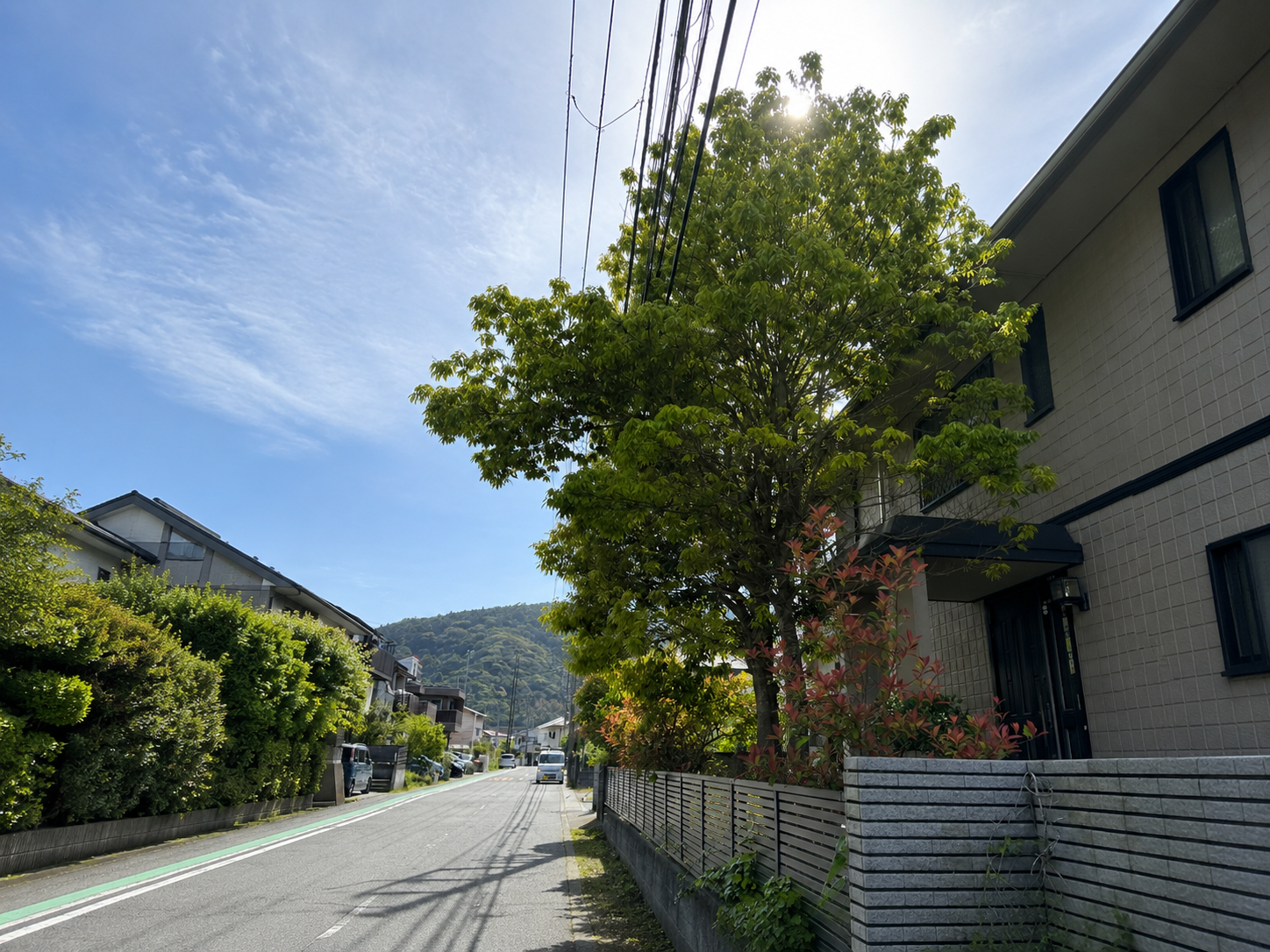 宮寺の庭木伐採前の様子 建物近くまで伸びた庭木