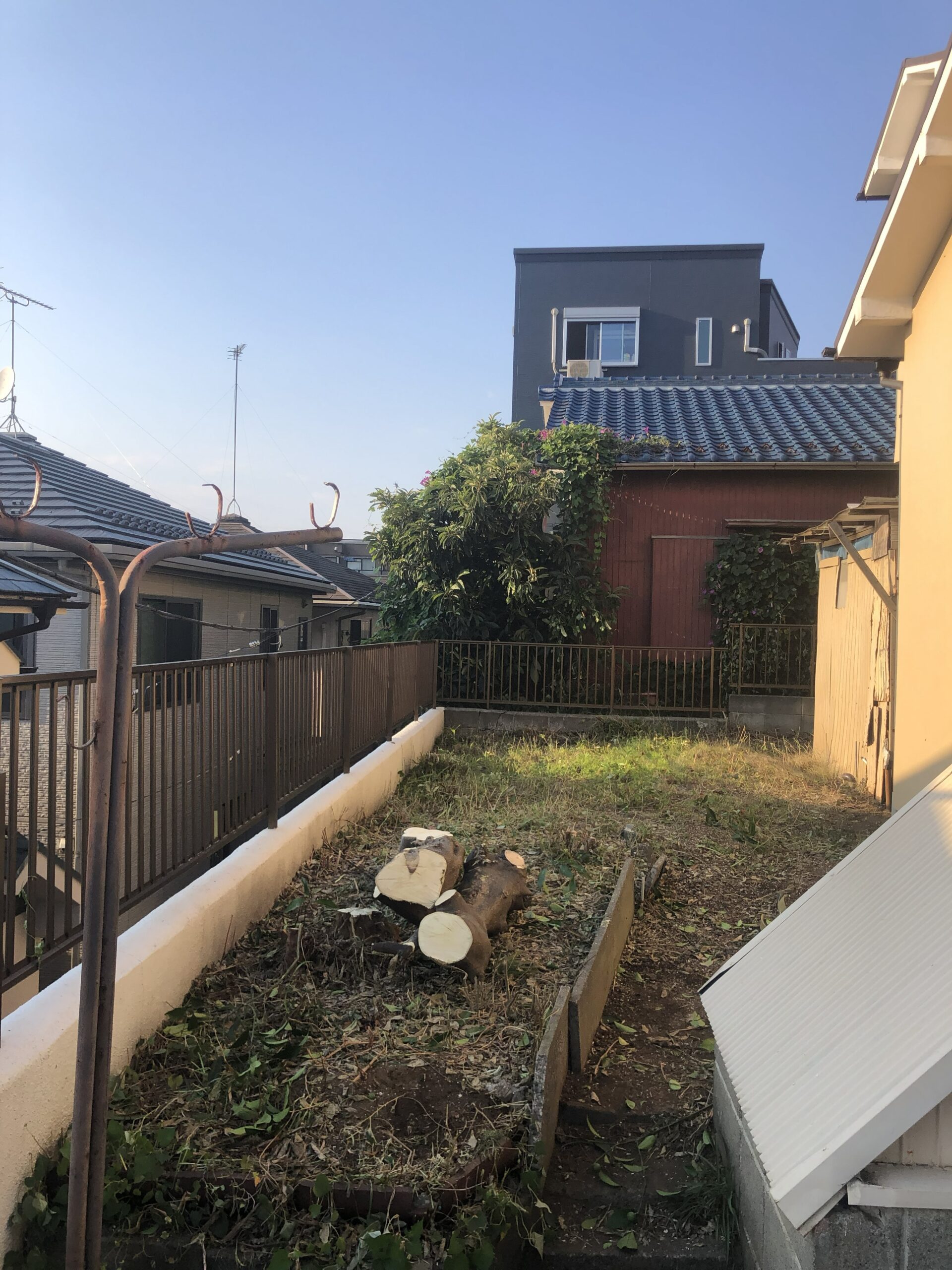 高萩の庭木伐採後の様子 庭木を伐採して通路まわりがすっきりした状態