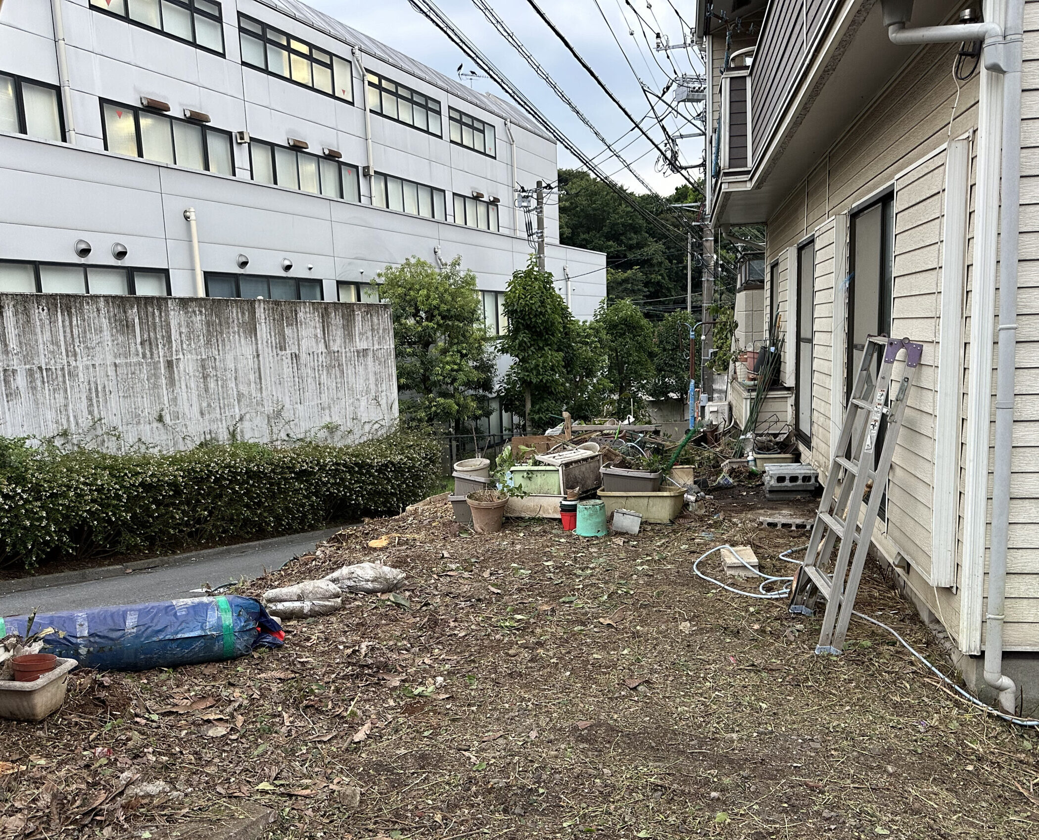 栄和の庭木伐採後の様子 伐採により管理しやすくスッキリしたお庭