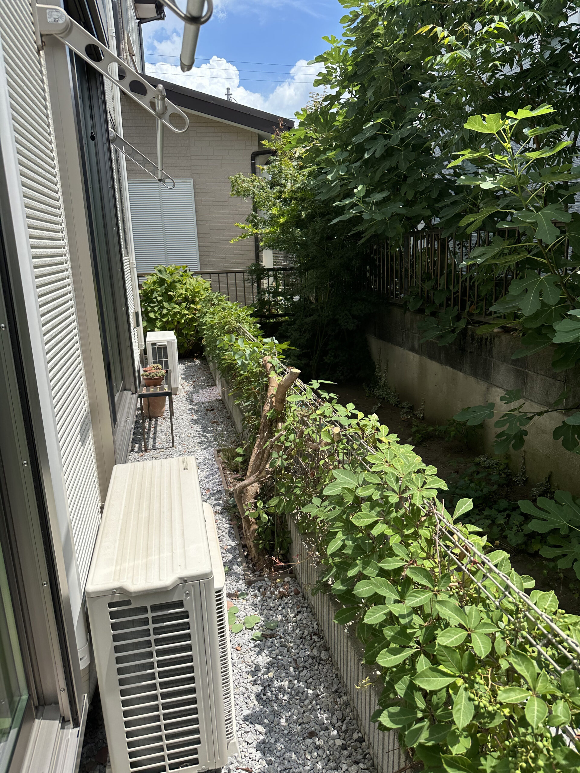 上峰の庭木伐採後の様子 伐採により管理しやすくスッキリしたお庭