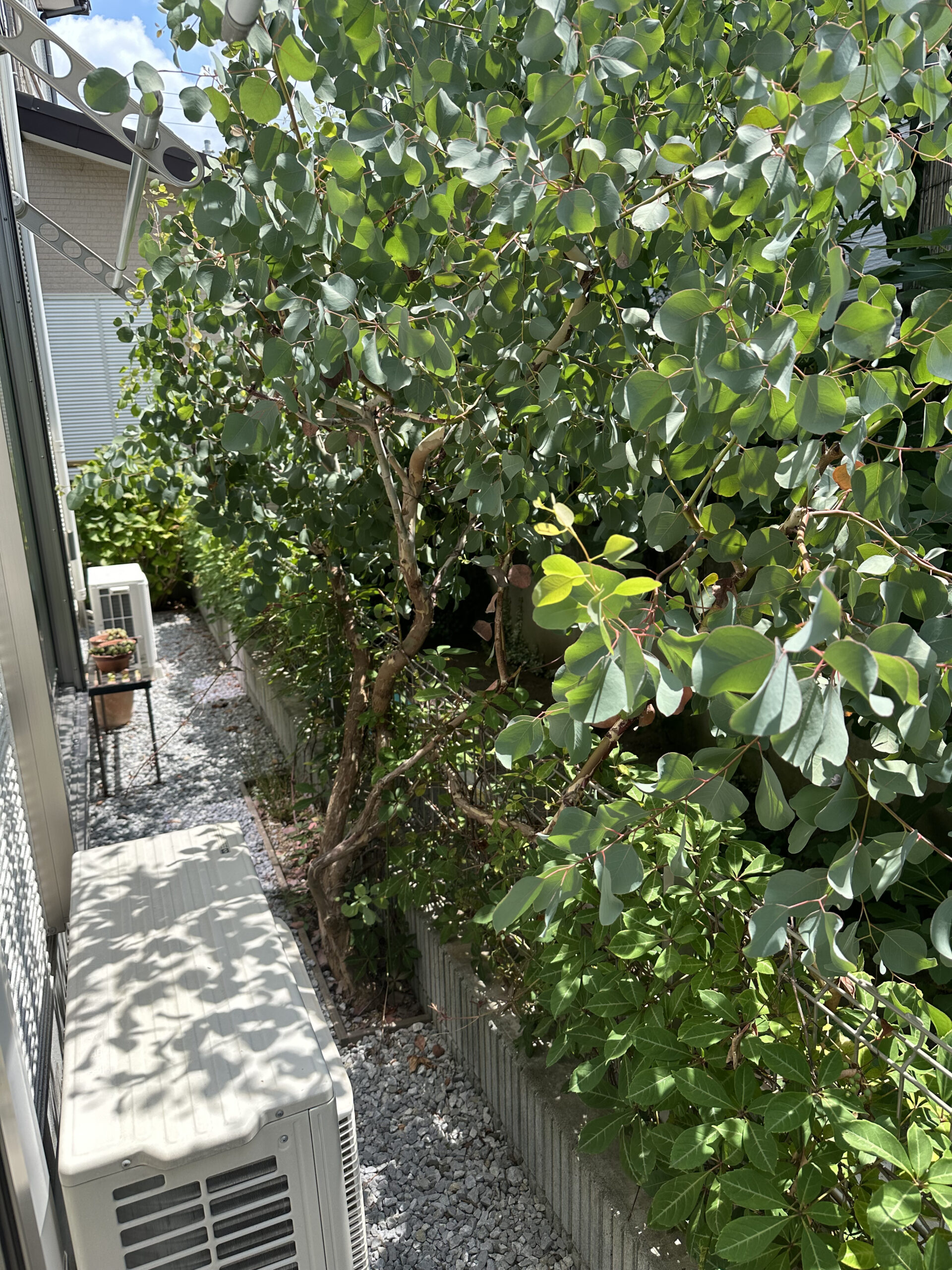上峰の庭木伐採前の様子 伸びすぎた庭木で圧迫感のある状態