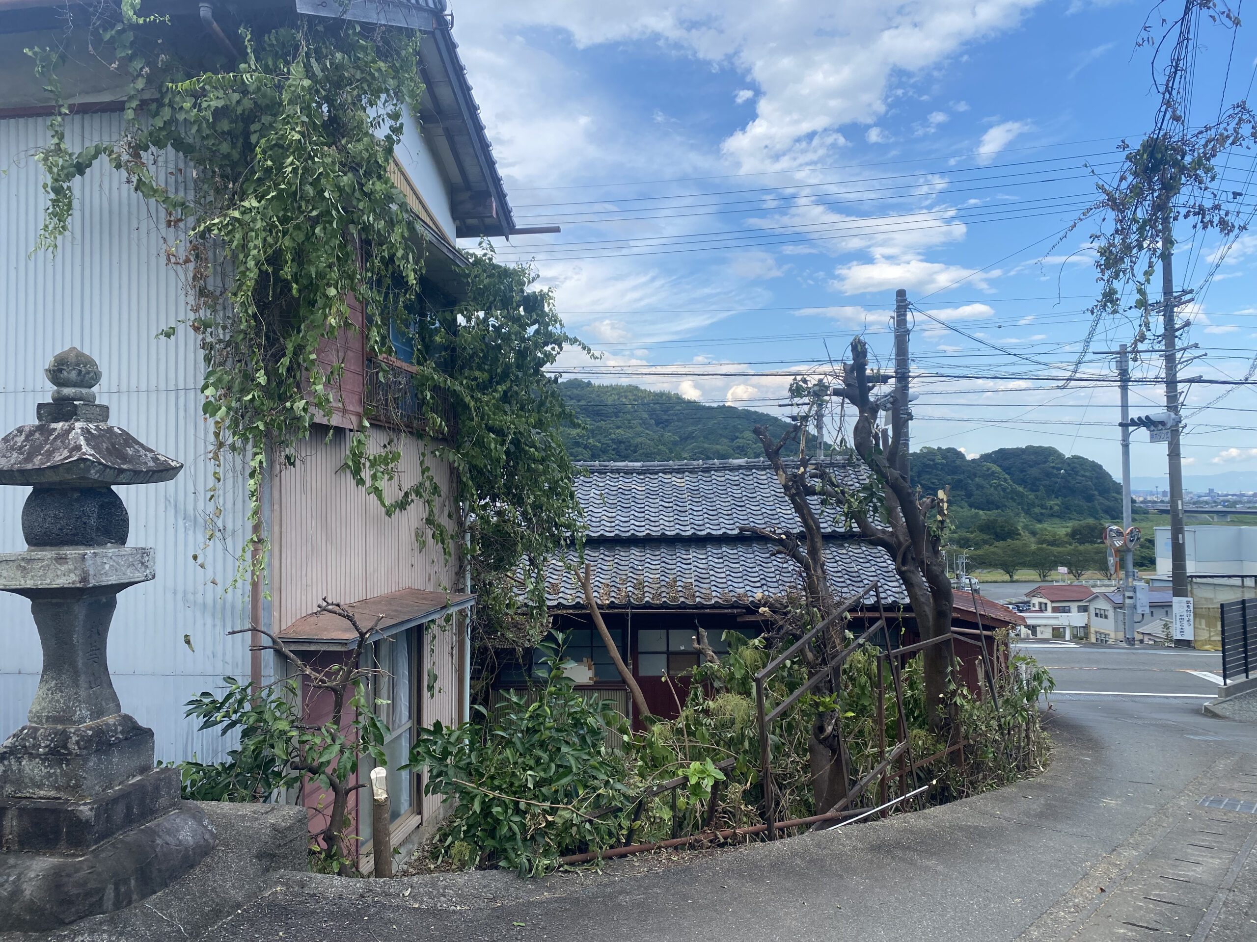 大谷口の庭木伐採後の様子 庭木とツル植物を伐採し、建物まわりがすっきりと明るく管理しやすい状態