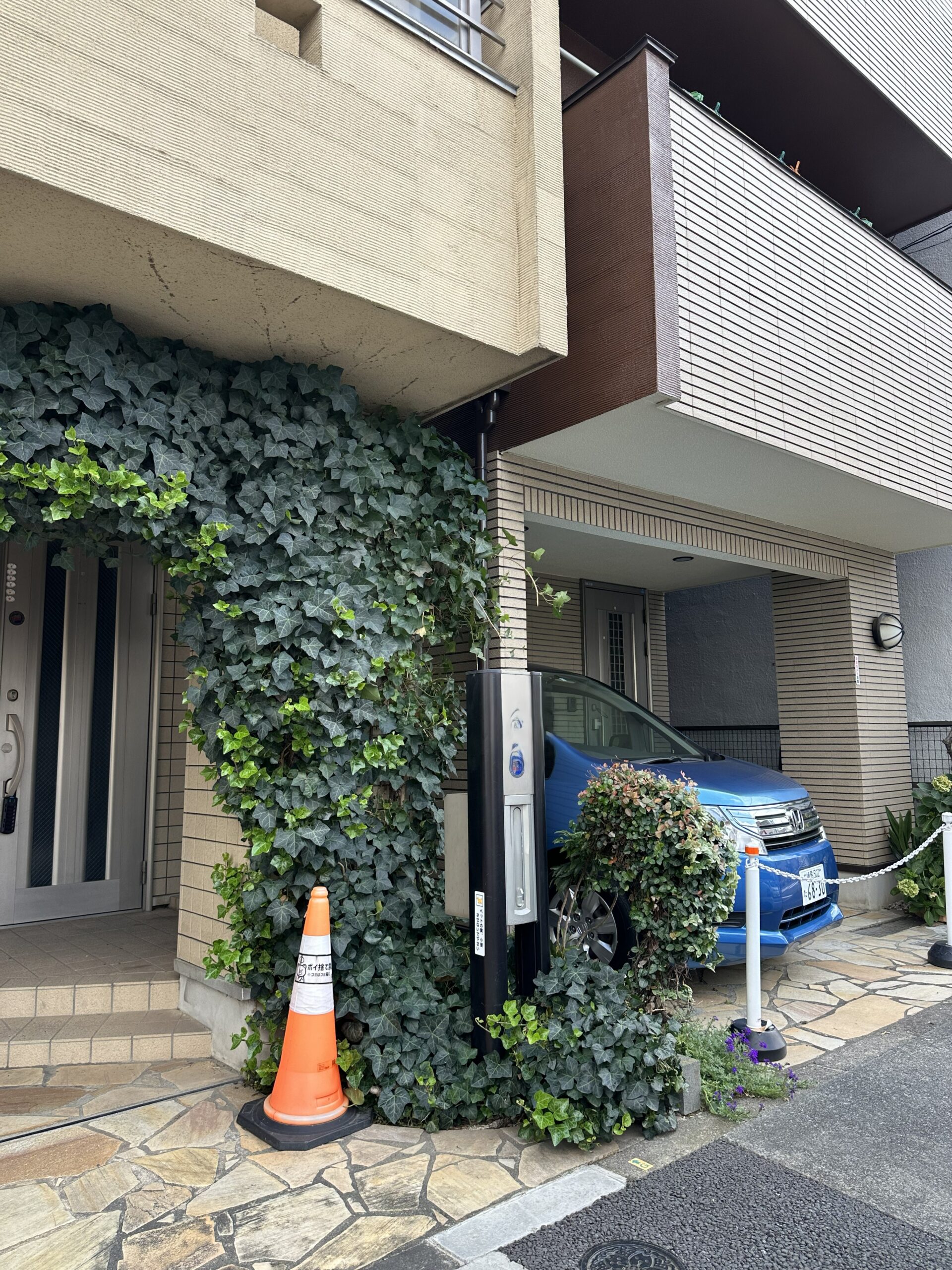 鶴ケ曽根の庭木伐採後の様子 伐採により玄関まわりがすっきりした状態