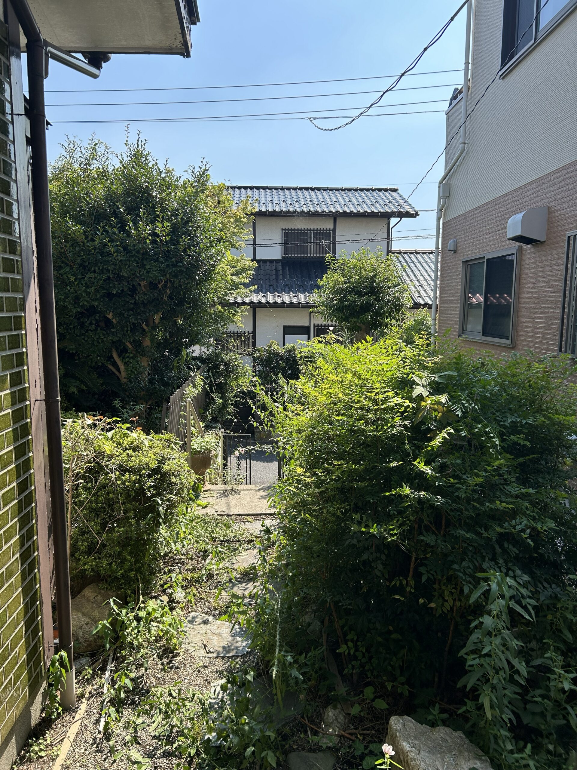 下新倉の庭木伐採前の様子 建物まわりに広がった庭木