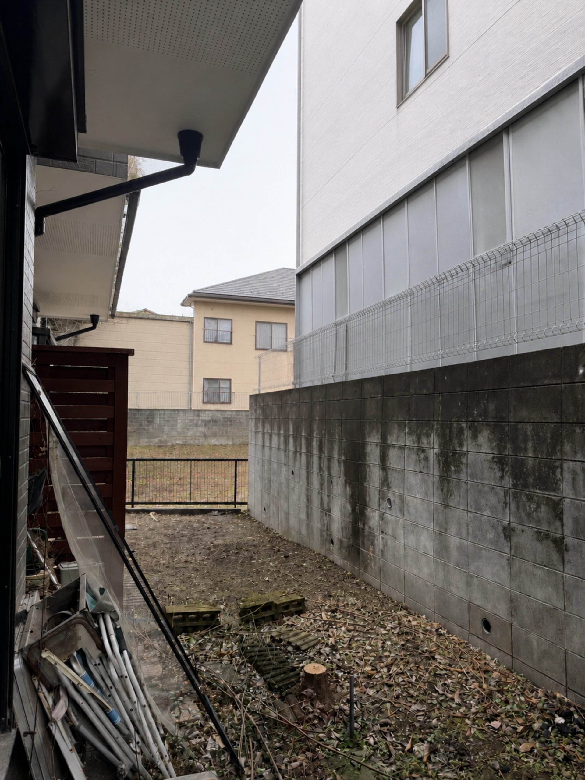 野寺の庭木伐採後 建物まわりがすっきりした様子