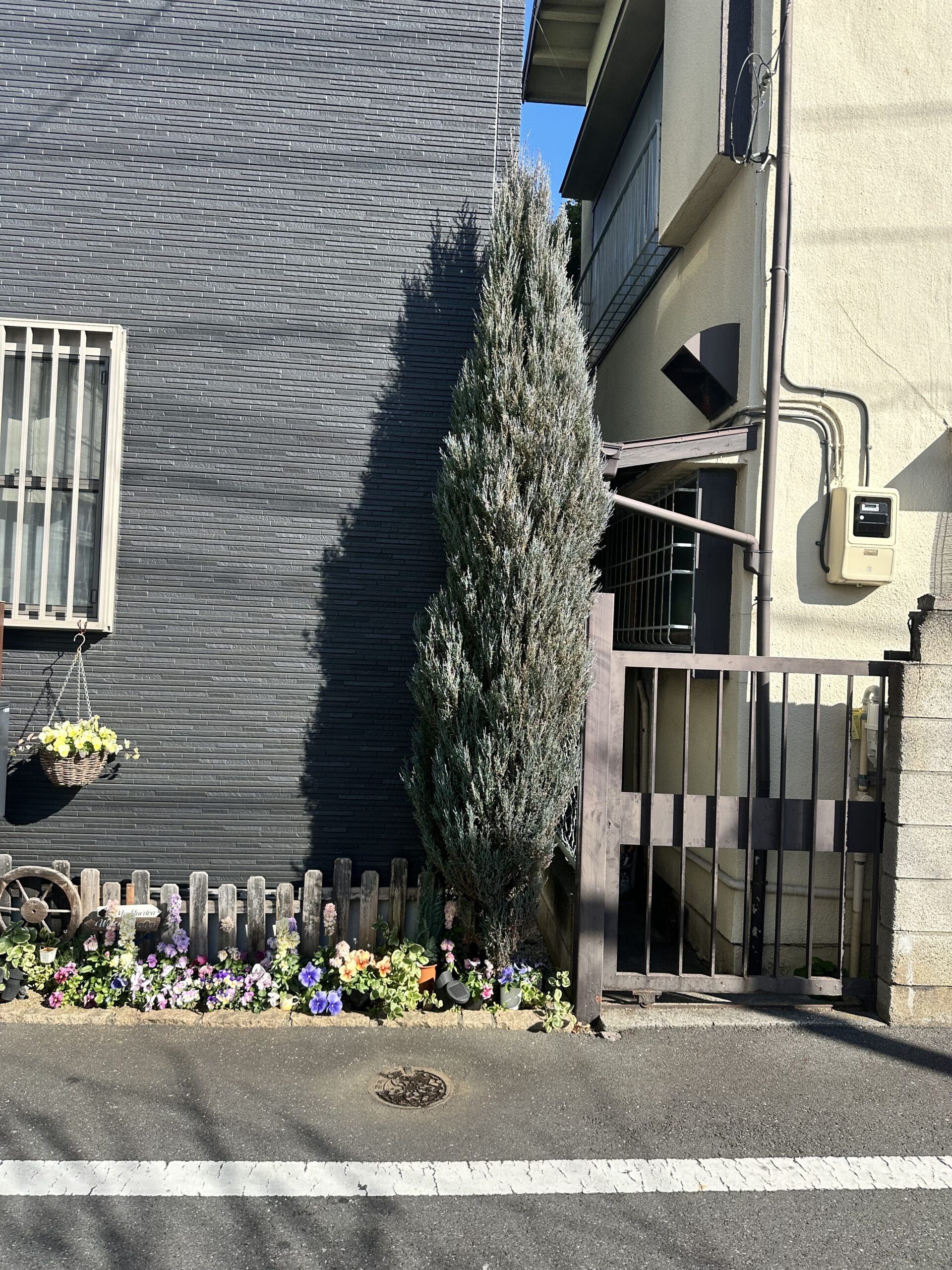 騎西の庭木伐採前 門扉横に庭木が植えられている様子