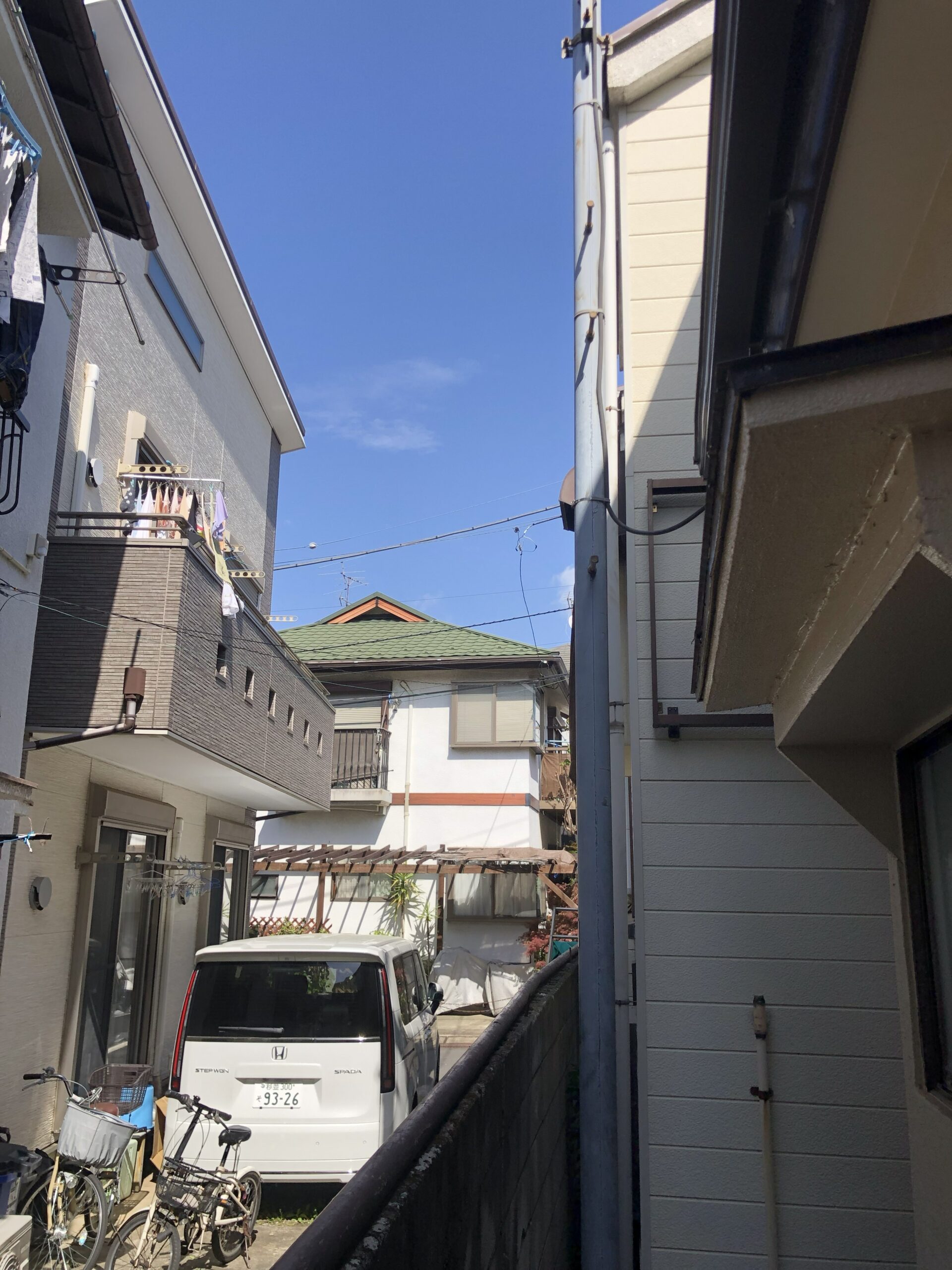 安行領根岸の庭木伐採後の様子 伐採後に日当たりが良くなった様子