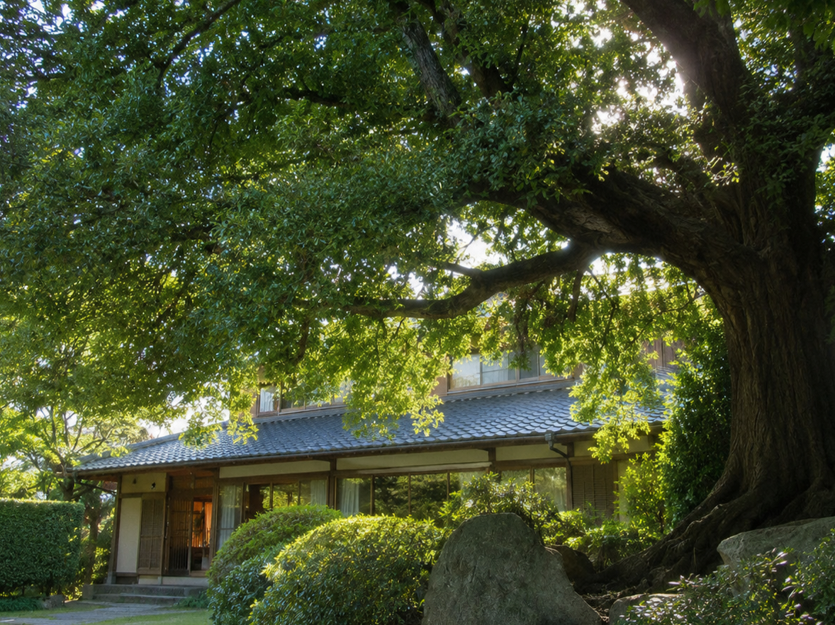 庭木やシンボルツリーとして植えられる理由
